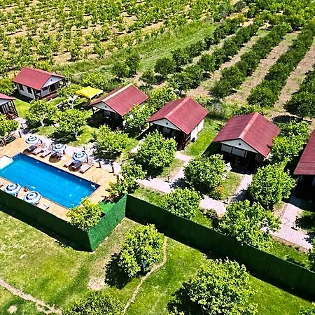 Iztuzu & Hotel Dalyan