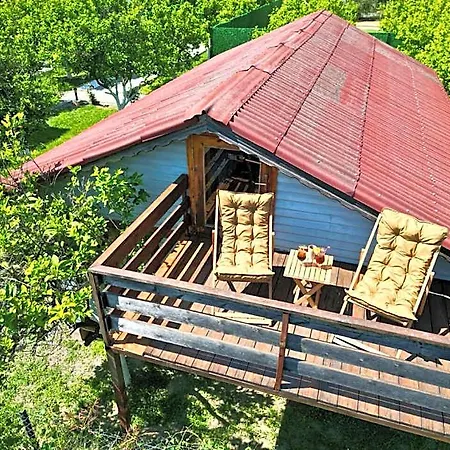 Iztuzu & 3* Dalyan