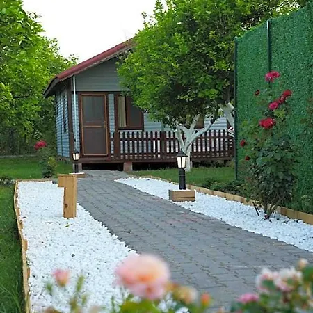 Iztuzu & 호텔 3*